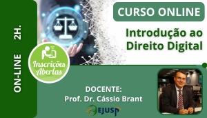 [INTRODUÇÃO AO DIREITO DIGITAL]